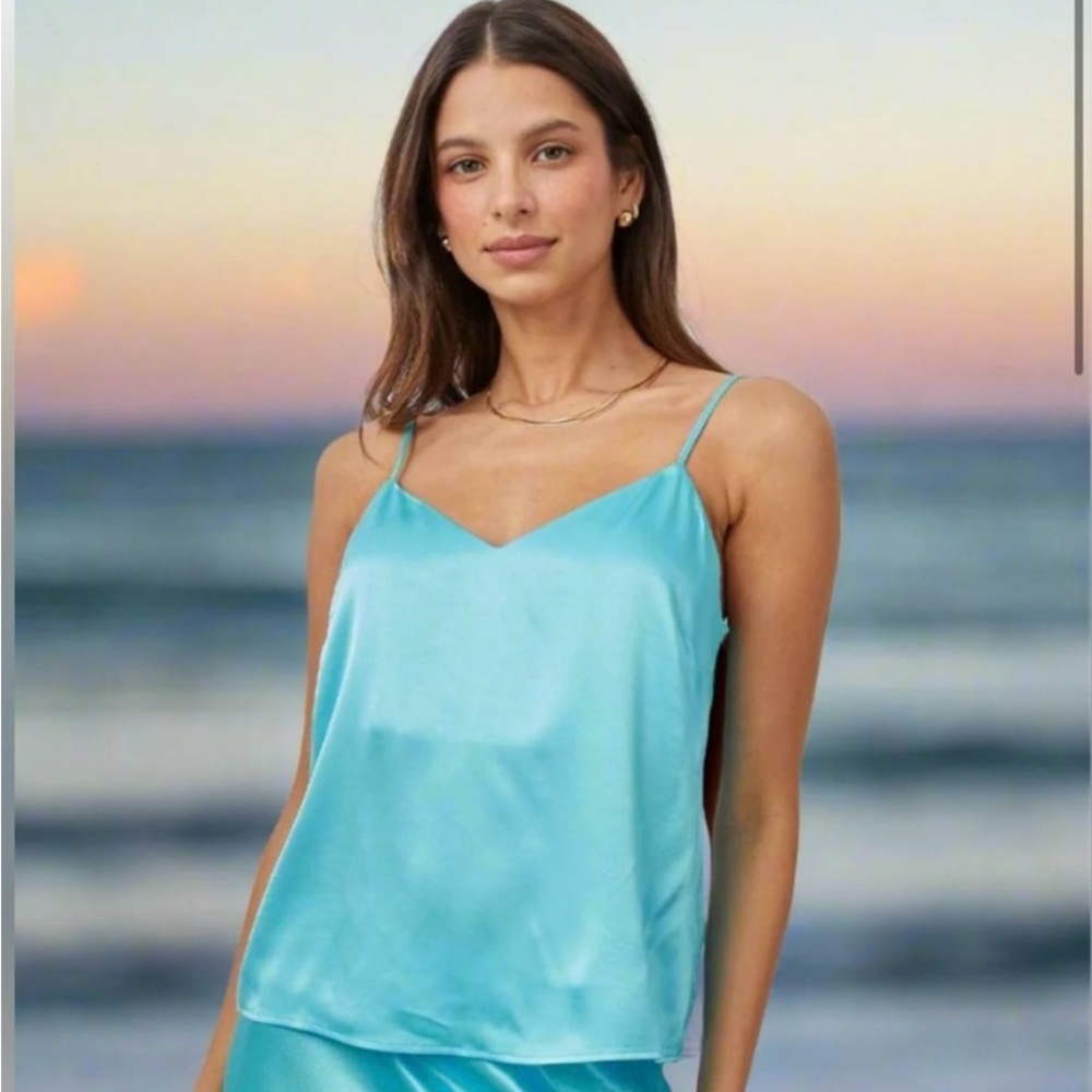 AQUA RAILS CAMI NWT